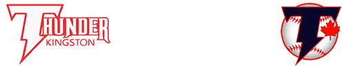 Alternative text